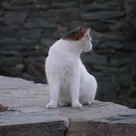 Alitanes Áno Meriá